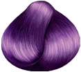 005 - Violet