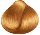 gold honey CH2