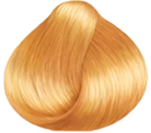 gold honey CH3