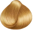 golden dorati-8.5
