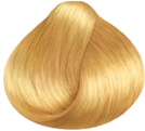 golden dorati-9.5